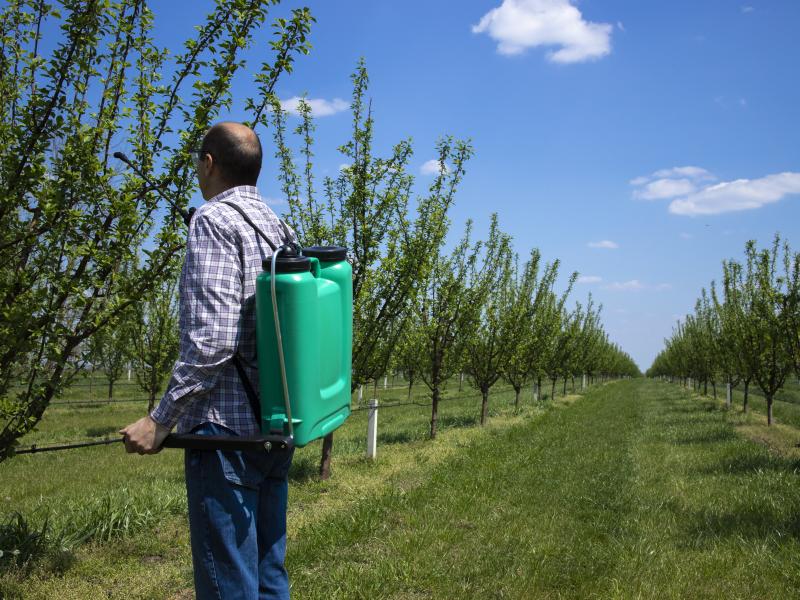 Pest Control Department of Agriculture