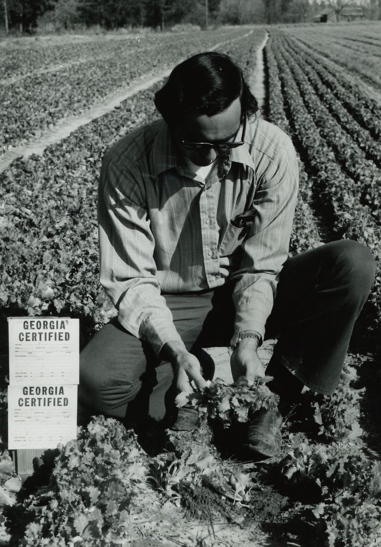 (1986) Georgia Seed Development Commission photo.