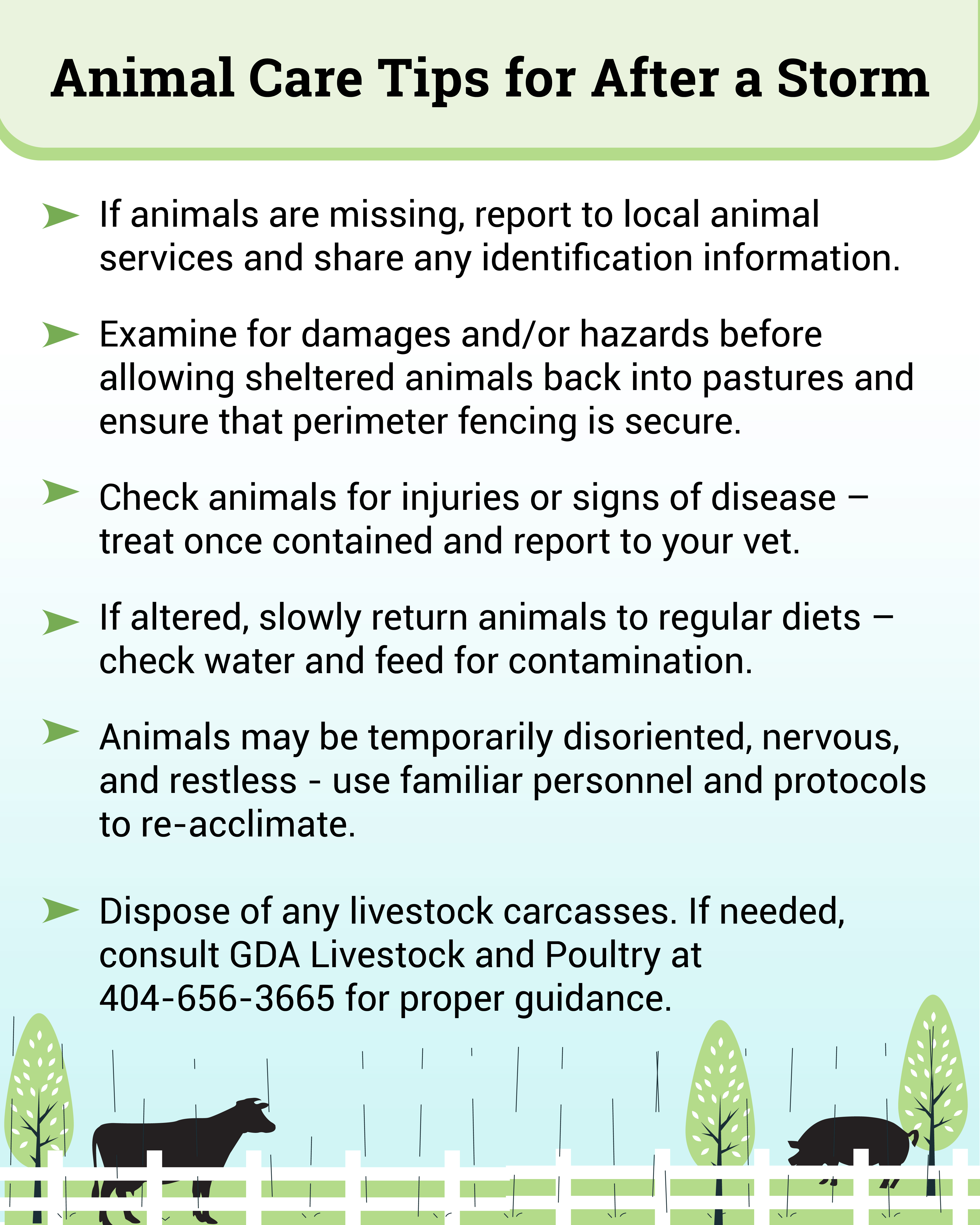 Hurricane Response: Animal Care Tips