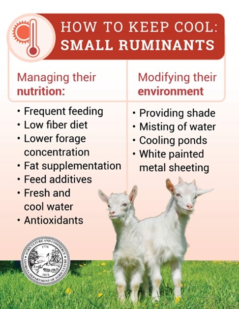 How to Keep Small Ruminants Cool How to Keep Small Ruminants Cool