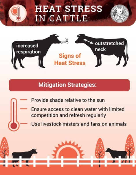 Identifying Signs of Heat Stress in Cattle Identifying Signs of Heat Stress in Cattle