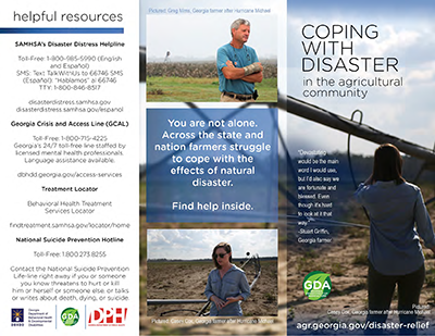 Coping with Disaster