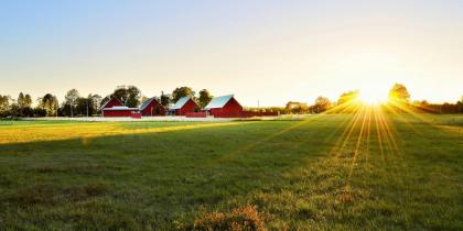 Vast farmland with glare from sunshine