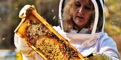 4 Important Best Practices for Any Beekeeper