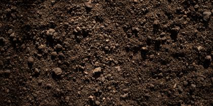 Soil Ammendments