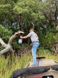 GDA Plant Protection Division inspector checks a trap for the Yellow-Legged hornets